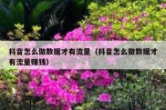 抖音怎么做数据才有流量（抖音怎么做数据才有流量赚钱）
