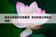 梅州公司竞价托管服务  竞价托管公司操作流程