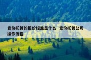 竞价托管的报价标准是什么  竞价托管公司操作流程