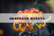 成都搜狗竞价托管  搜狗竞价平台