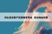 河北竞价账户托管哪家专业  竞价网站托管