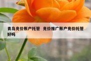 青岛竞价账户托管  竞价推广账户竞价托管好吗