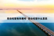 竞价托管有效果吗  竞价托管什么意思