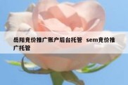 岳阳竞价推广账户后台托管  sem竞价推广托管