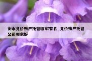 衡水竞价账户托管哪家有名  竞价账户托管公司哪家好