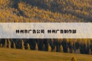林州市广告公司  林州广告制作部