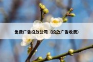 免费广告投放公司（投放广告收费）