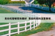 竞价托管哪家效果好  竞价托管的注意事项