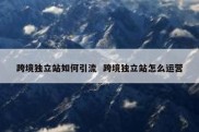 跨境独立站如何引流  跨境独立站怎么运营