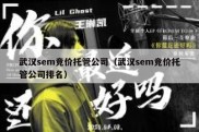 武汉sem竞价托管公司（武汉sem竞价托管公司排名）