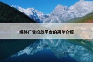 媒体广告投放平台的简单介绍