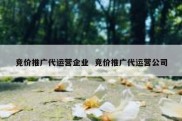 竞价推广代运营企业  竞价推广代运营公司