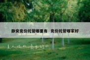 静安竞价托管哪里有  竞价托管哪家好
