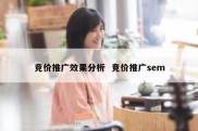 竞价推广效果分析  竞价推广sem