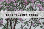 邯郸竞价托管公司有哪些  邯郸拍卖网