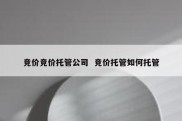 竞价竞价托管公司  竞价托管如何托管
