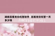 湖南百度竞价托管软件  百度竞价托管一月多少钱