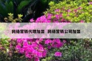 网络营销代理加盟  网络营销公司加盟