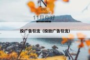 投广告引流（投放广告引流）