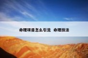 命理项目怎么引流  命理技法