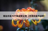 烟台抖音代个体运营公司（菏泽抖音代运营）