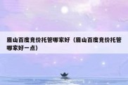 眉山百度竞价托管哪家好（眉山百度竞价托管哪家好一点）