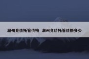 潮州竞价托管价格  潮州竞价托管价格多少