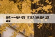 百度sem竞价托管  百度竞价托管代运营公司