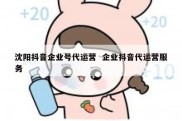 沈阳抖音企业号代运营  企业抖音代运营服务