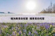搜为斯竞价托管  搜索竞价托管