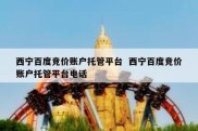 西宁百度竞价账户托管平台  西宁百度竞价账户托管平台电话