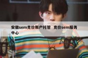 安徽sem竞价账户托管  竞价sem服务中心