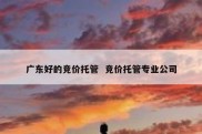 广东好的竞价托管  竞价托管专业公司