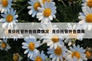 竞价托管外包收费情况  竞价托管外包费用
