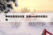 柳州百度竞价托管  百度sem竞价托管公司