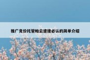 推广竞价托管帕云速捷必认的简单介绍