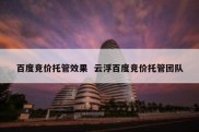 百度竞价托管效果  云浮百度竞价托管团队
