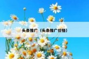 头条推广（头条推广价格）