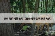哪有竞价托管公司（竞价托管公司联系方式）
