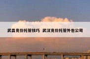 武昌竞价托管技巧  武汉竞价托管外包公司
