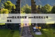 sem优化竞价托管  sem竞价优化公司排名