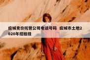 应城竞价托管公司电话号码  应城市土地2020年招拍挂
