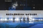 粉丝怎么涨粉到1000  粉丝怎么提升