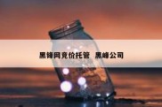 黑锋网竞价托管  黑峰公司