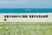 巨量千川新手入门教程  巨量千川怎么收费的