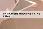 桂林百度竞价托管（百度竞价托管首荐1号总管 放心）