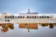 竞价托管公司多少  竞价托管公司多少钱一个月
