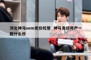 河北神马sem竞价托管  神马竞价开户一般什么价
