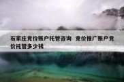 石家庄竞价账户托管咨询  竞价推广账户竞价托管多少钱