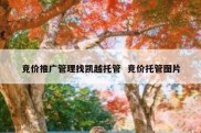 竞价推广管理找凯越托管  竞价托管图片